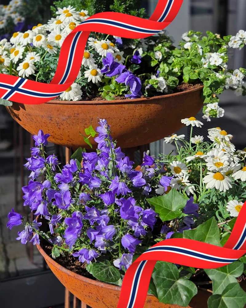 Blomster 17. mai